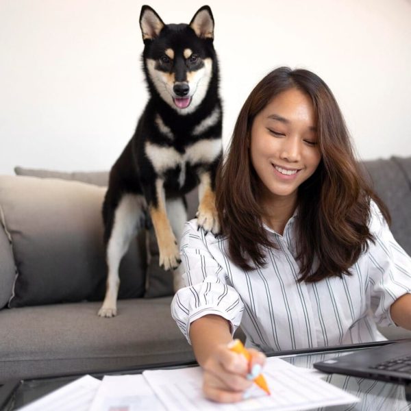 Will Planning For Pets